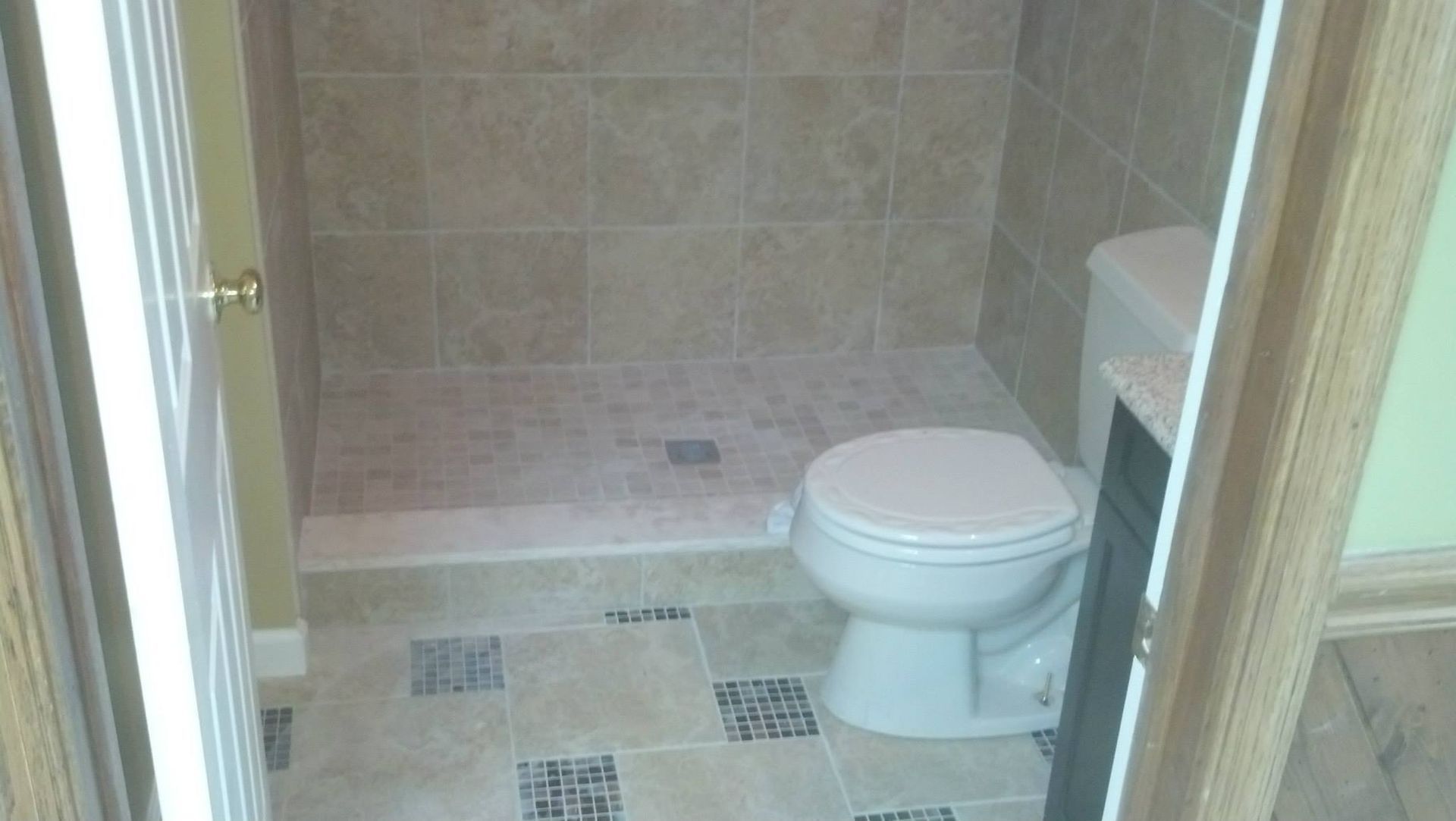 A bathroom with a toilet and a walk in shower.
