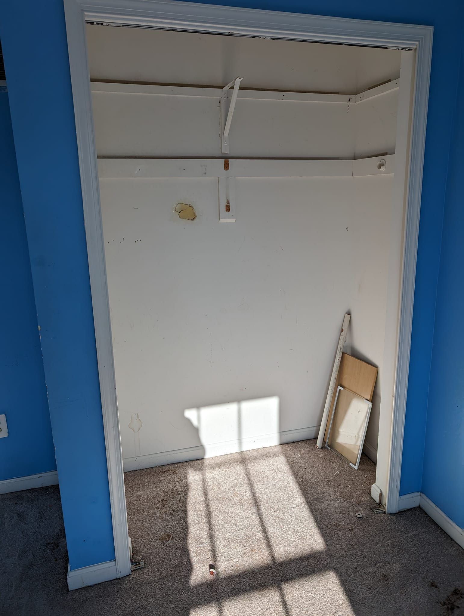 An empty closet with blue walls and a window.