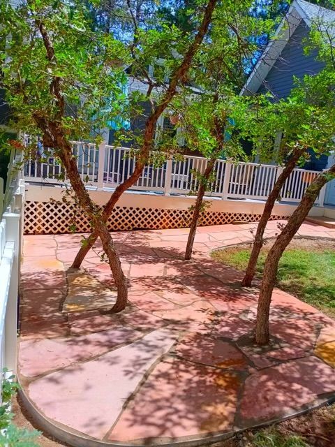 A patio with trees and a house in the background