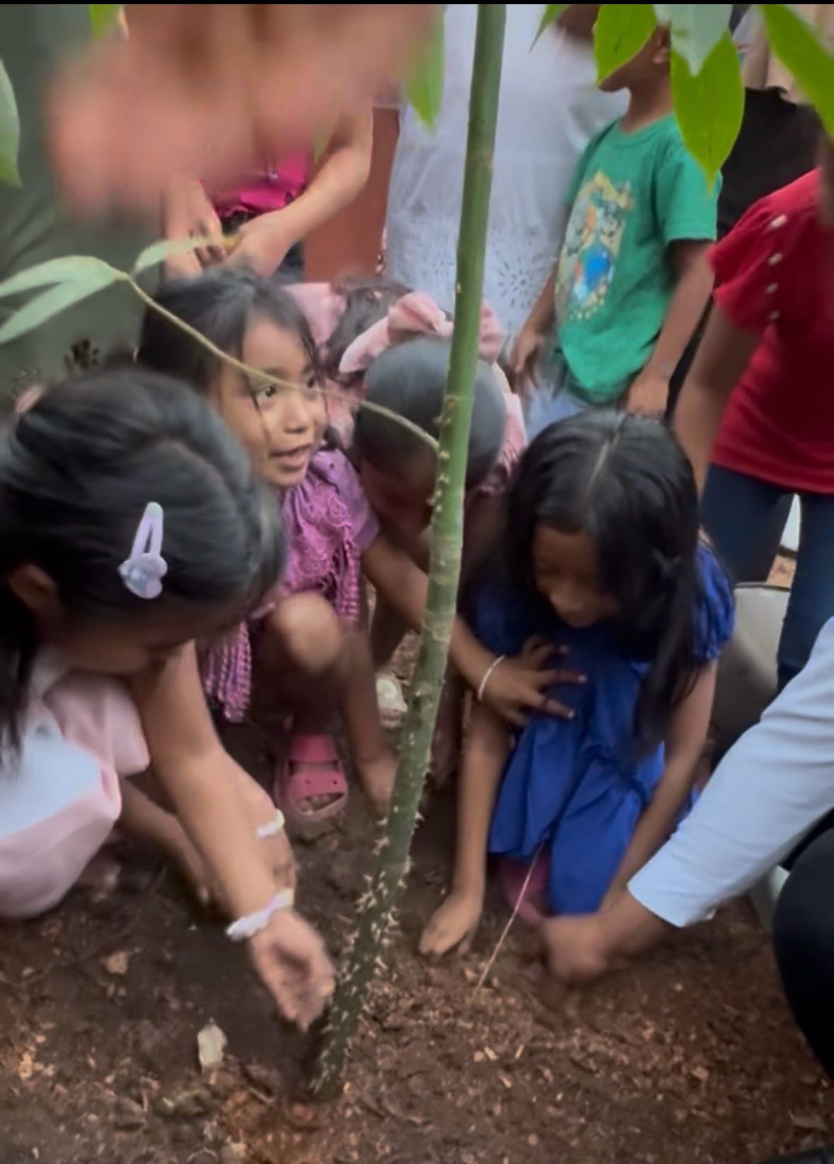 Ceiba Peace Tree Planting in Sisbichen with children.