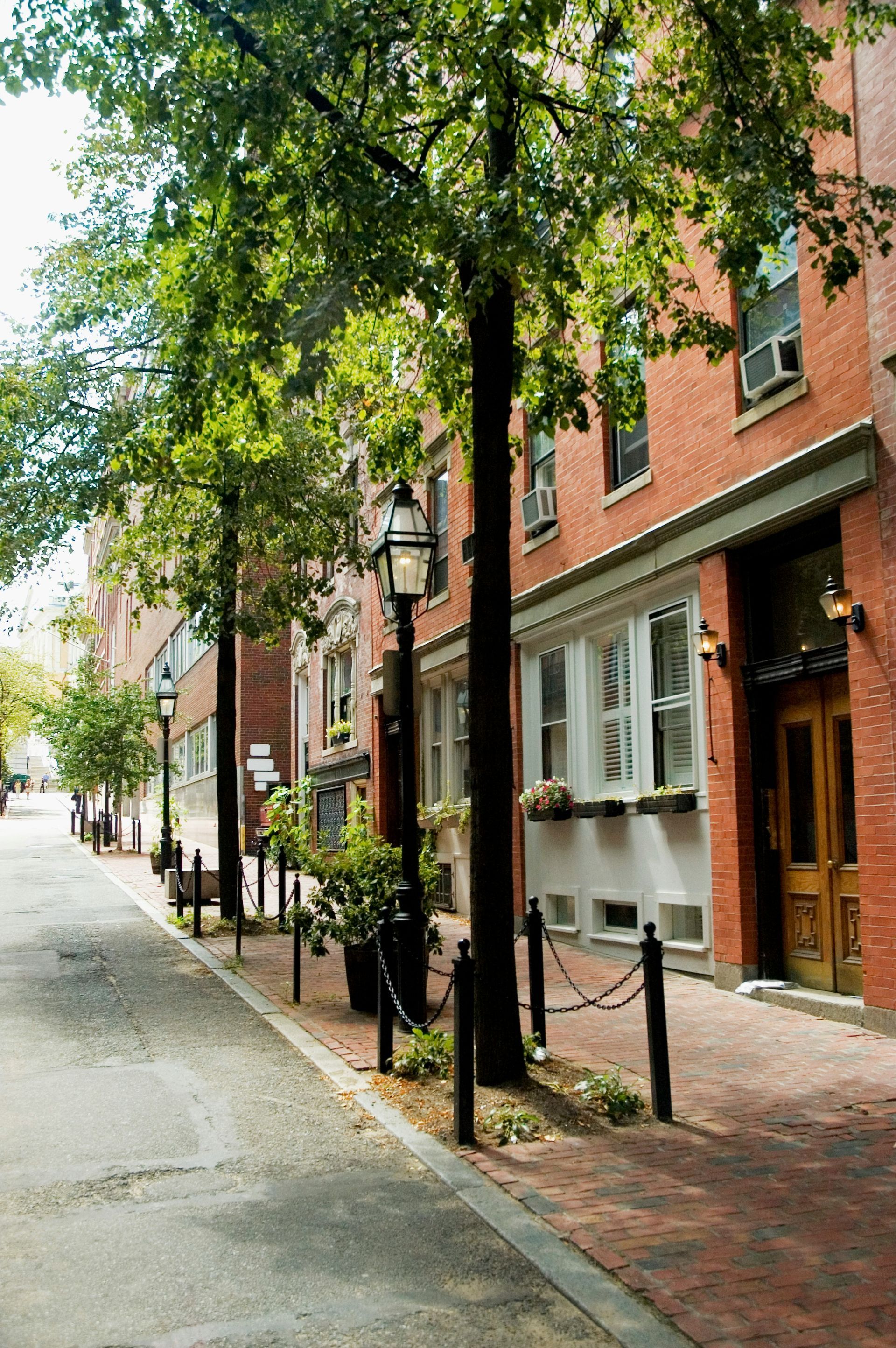 A row of brick buildings with trees on the side of the street