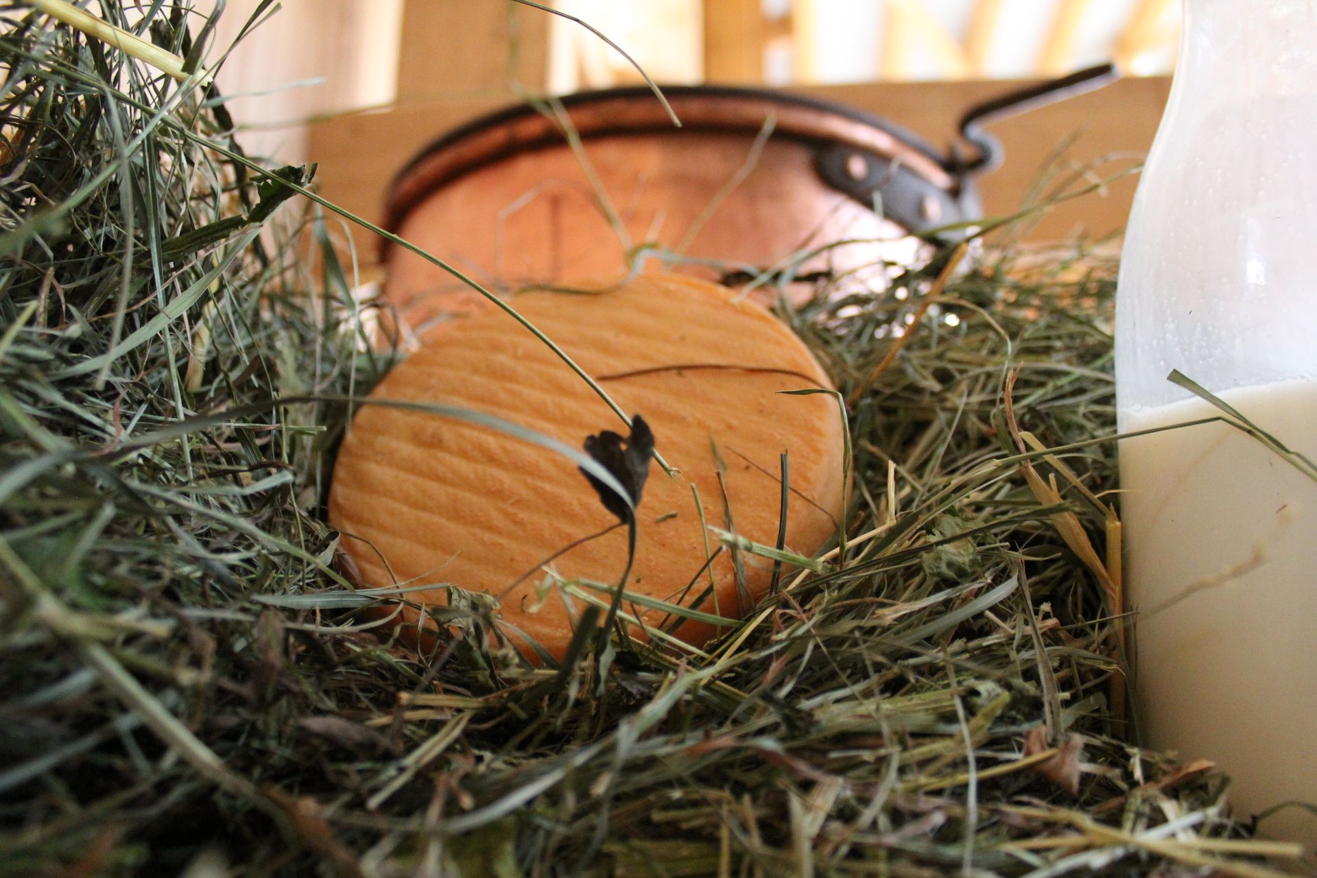 Tomme au lait cru de de la Ferme des Trontières à Randogne - Crans-Montana