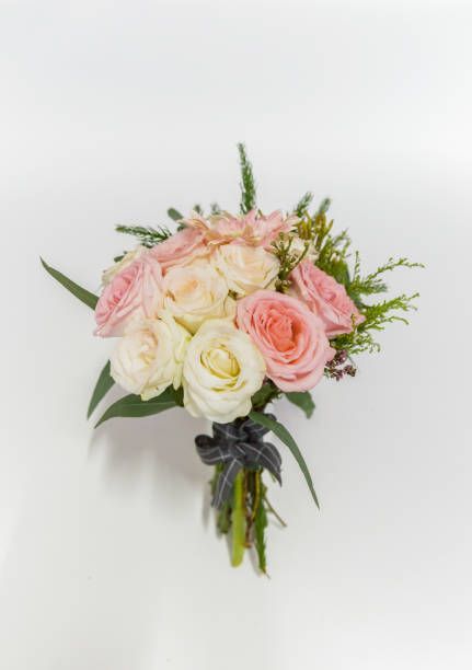 Bouquet of light pink and white roses with green foliage, tied with a dark ribbon, against a white background.