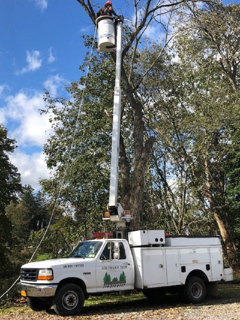 Landscape Contractor Olean, NY & Bradford, PA