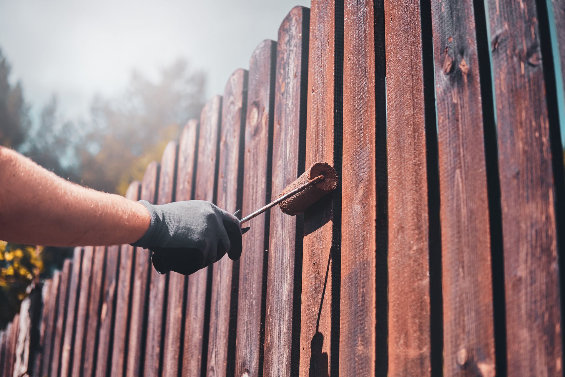 Person wearing a glove staining a wooden fence with a roller outdoors.