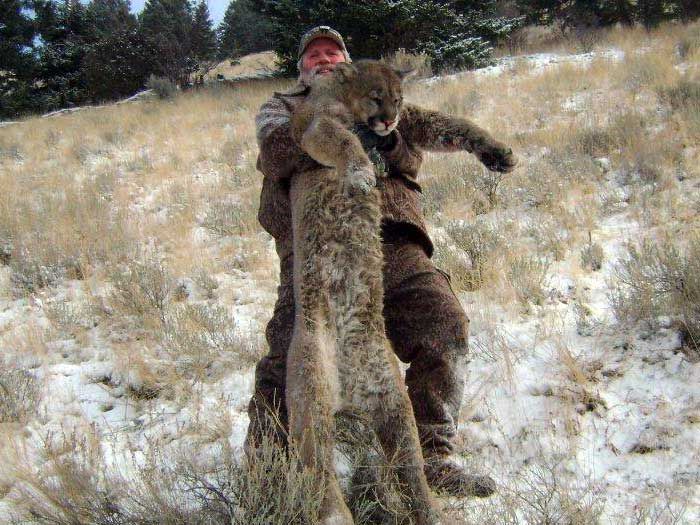 Lion Hunts Gallery Image