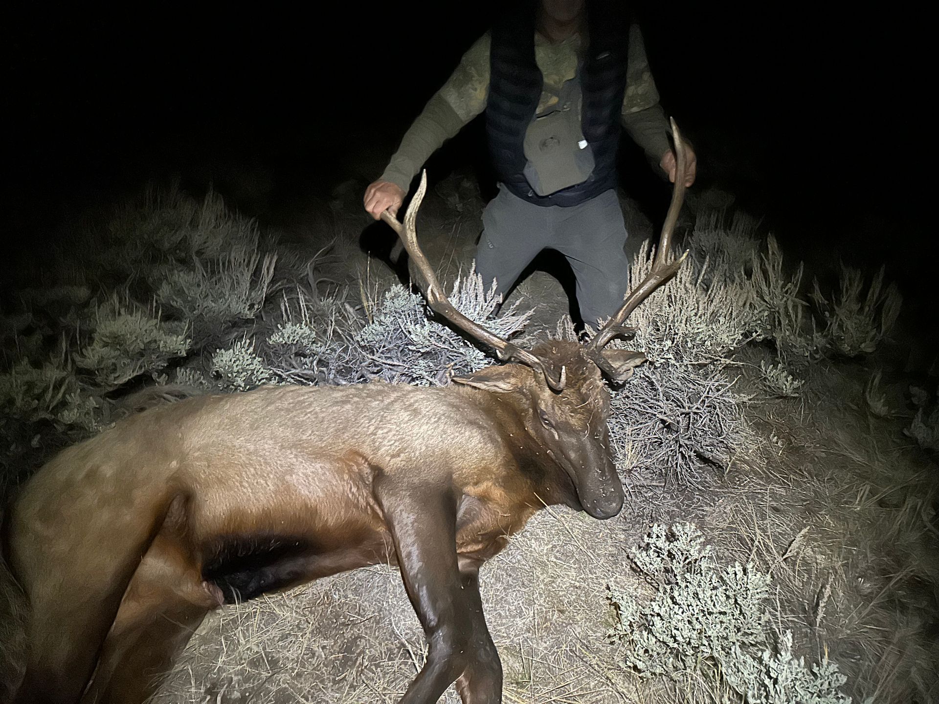 Elk Hunts Gallery Image