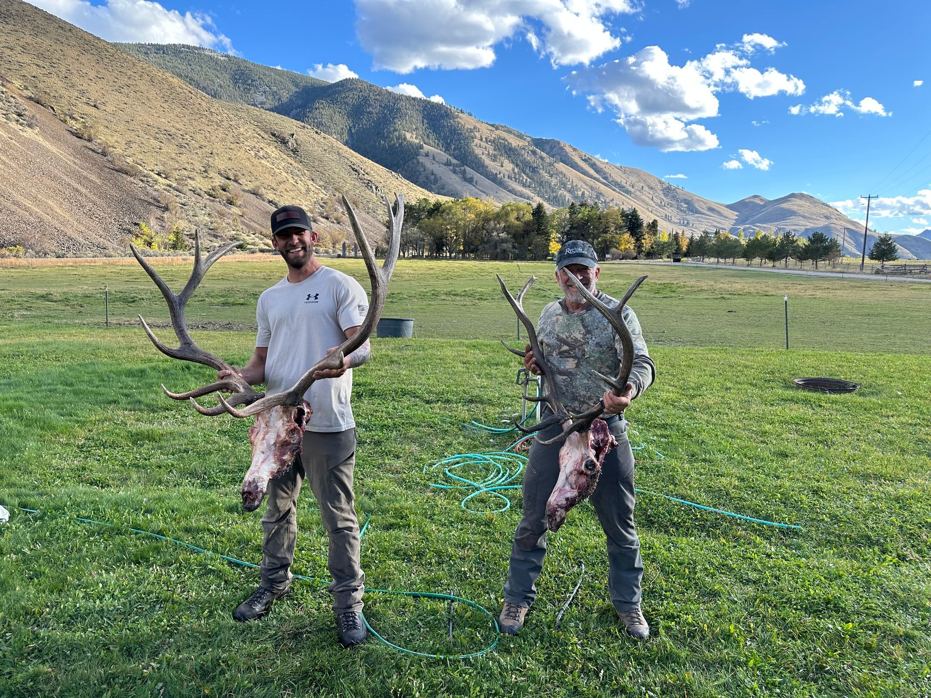 Elk Hunts Gallery Image