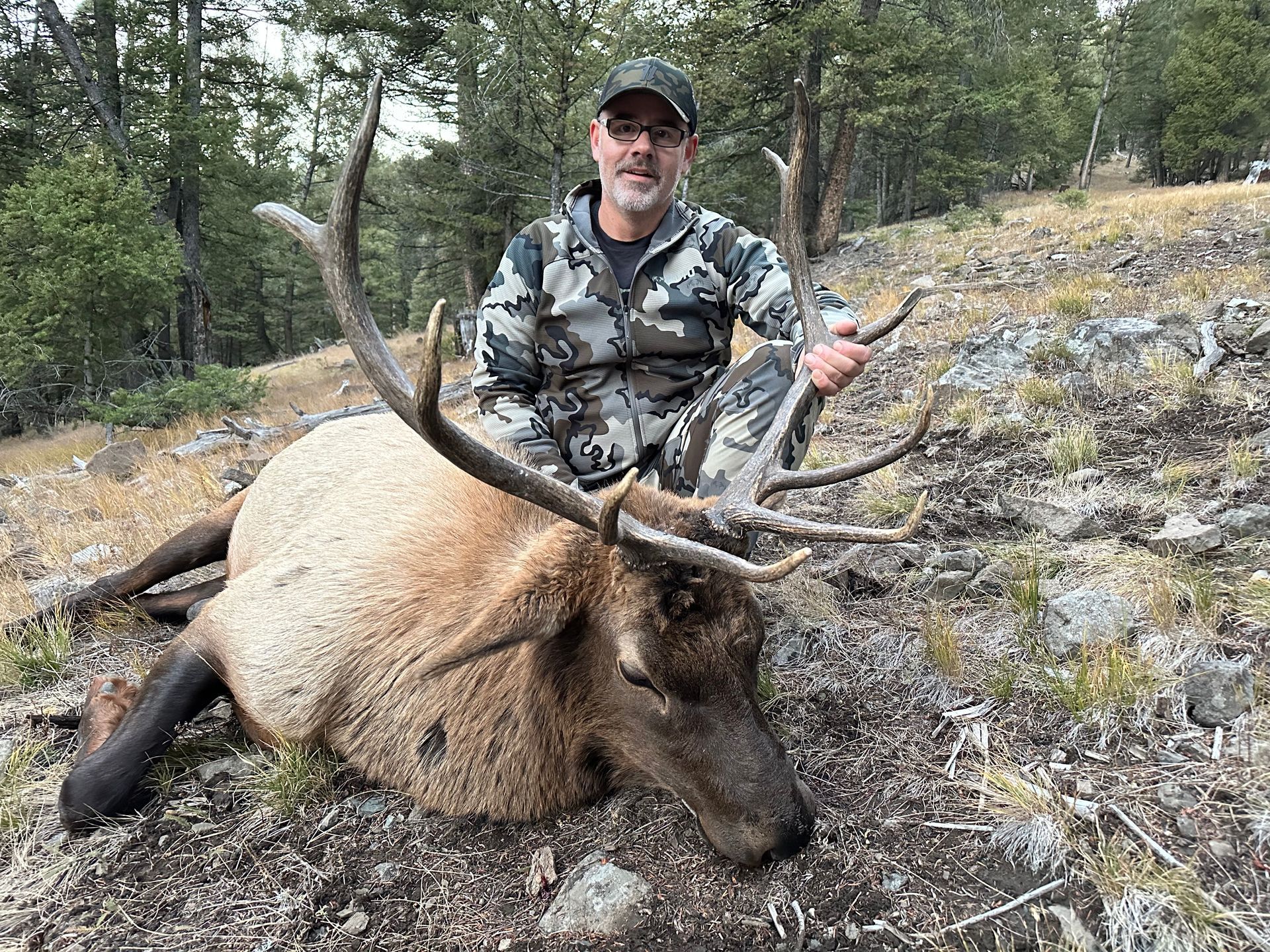 Elk Hunts Gallery Image