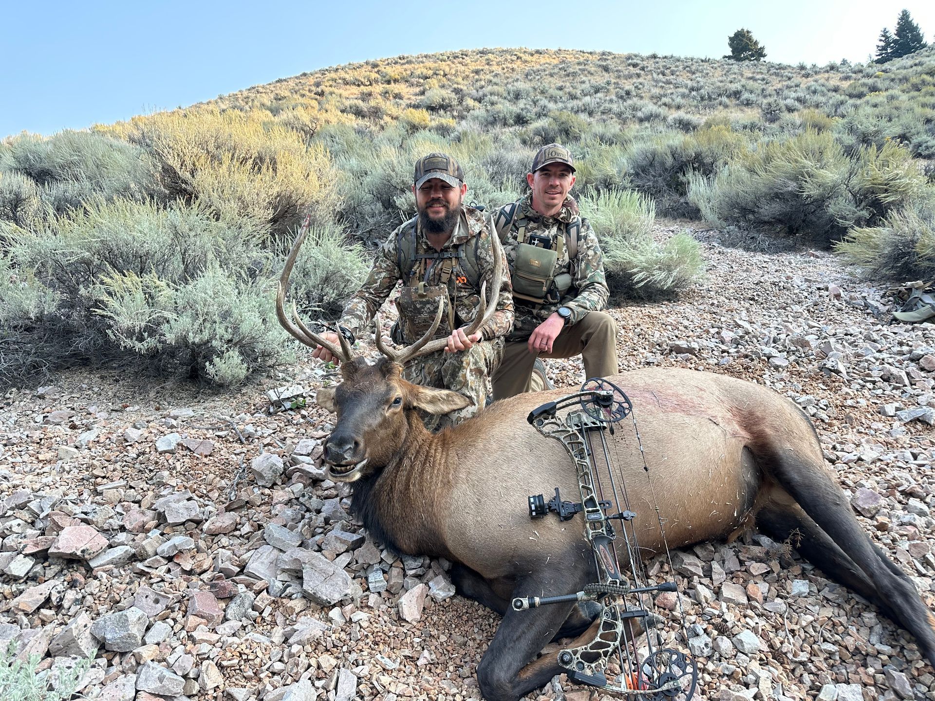Elk Hunts Gallery Image