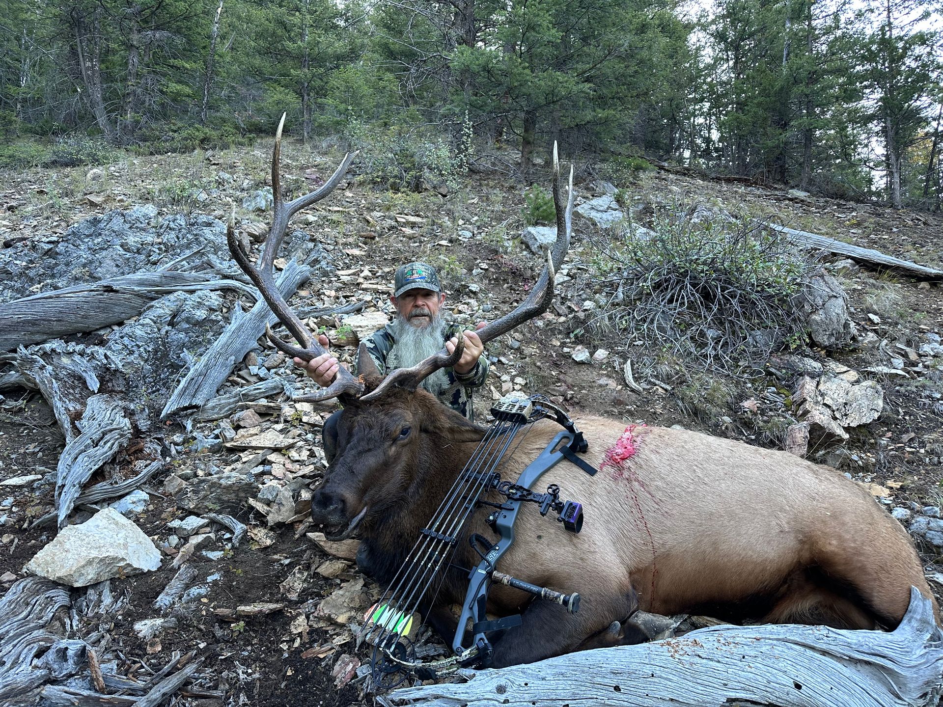 Elk Hunts Gallery Image