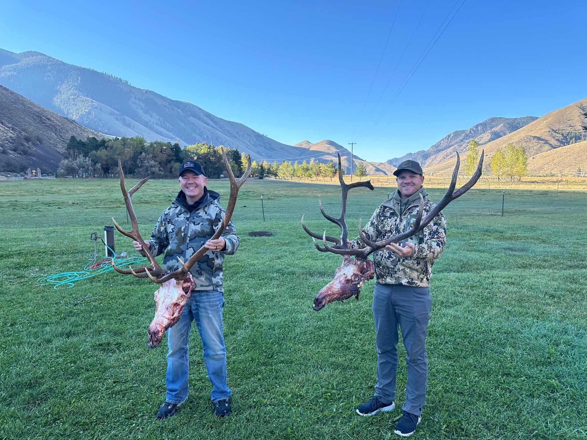 Elk Hunts Gallery Image