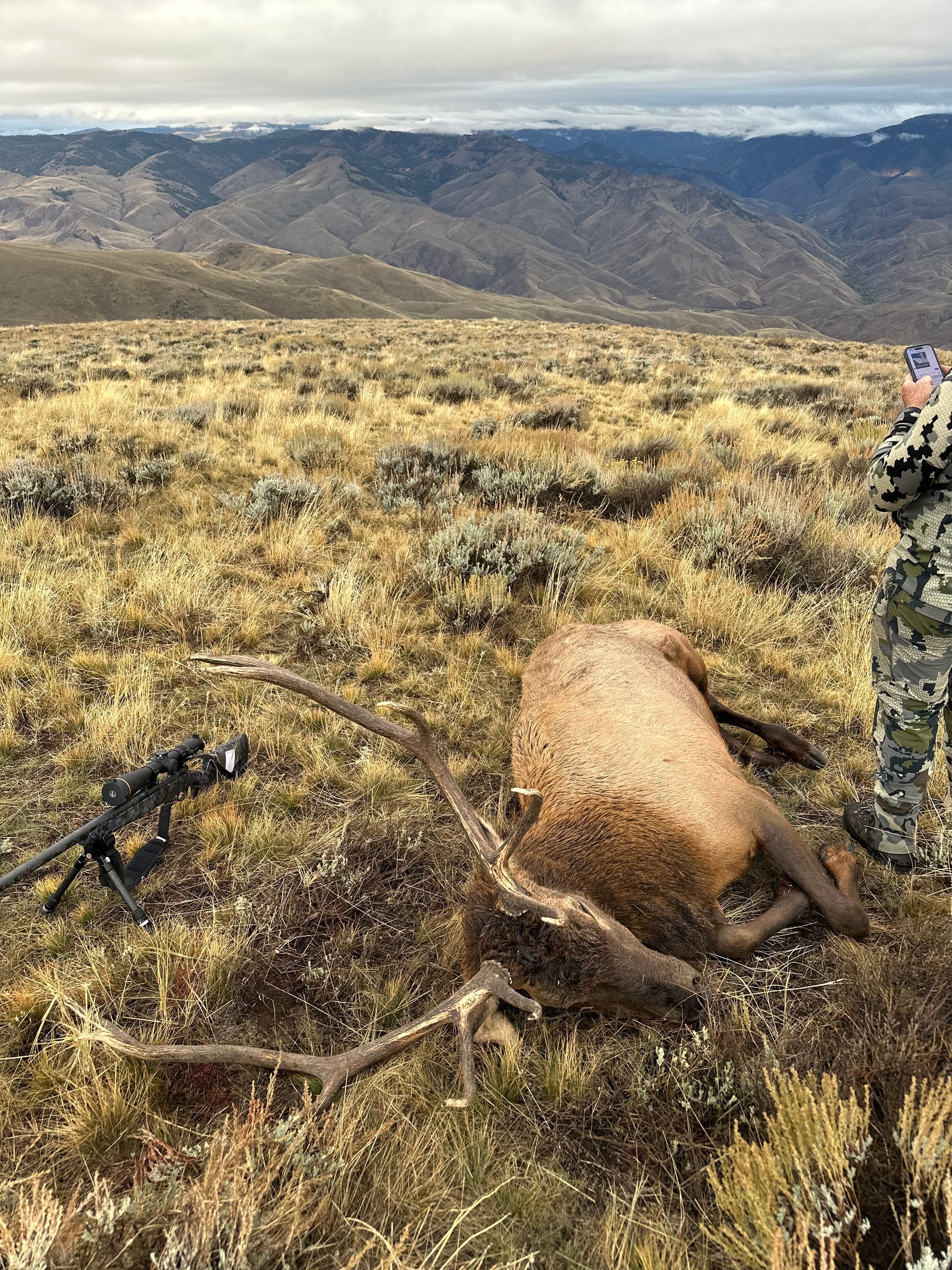 Elk Hunts Gallery Image