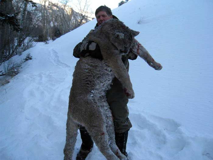 Lion Hunts Gallery Image