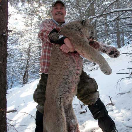 Lion Hunts Gallery Image