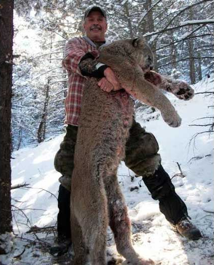 Lion Hunts Gallery Image