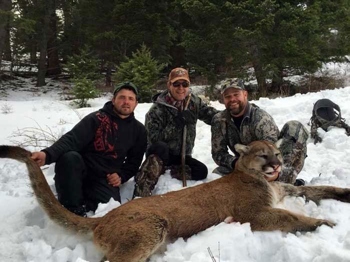 Lion Hunts Gallery Image