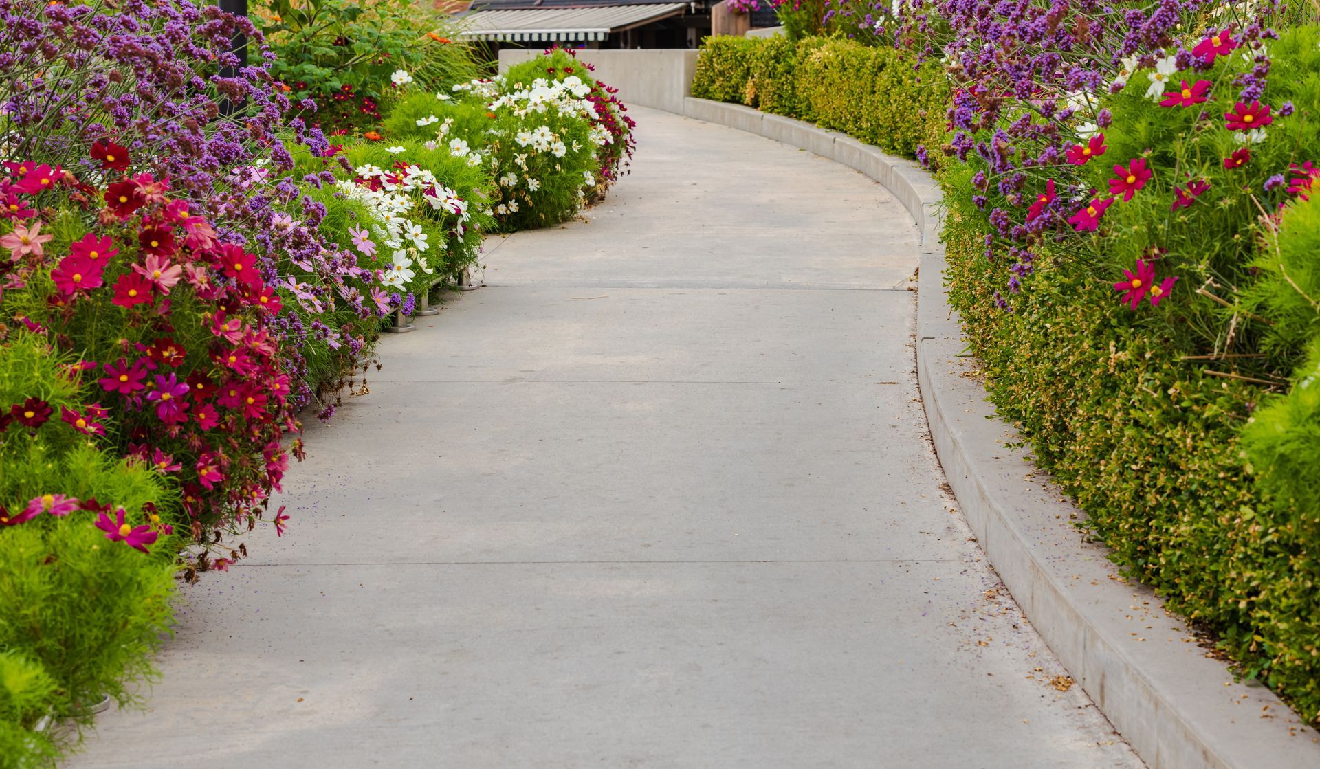 Pathway curves through a garden with blooming flowers in shades of pink, purple, and white.