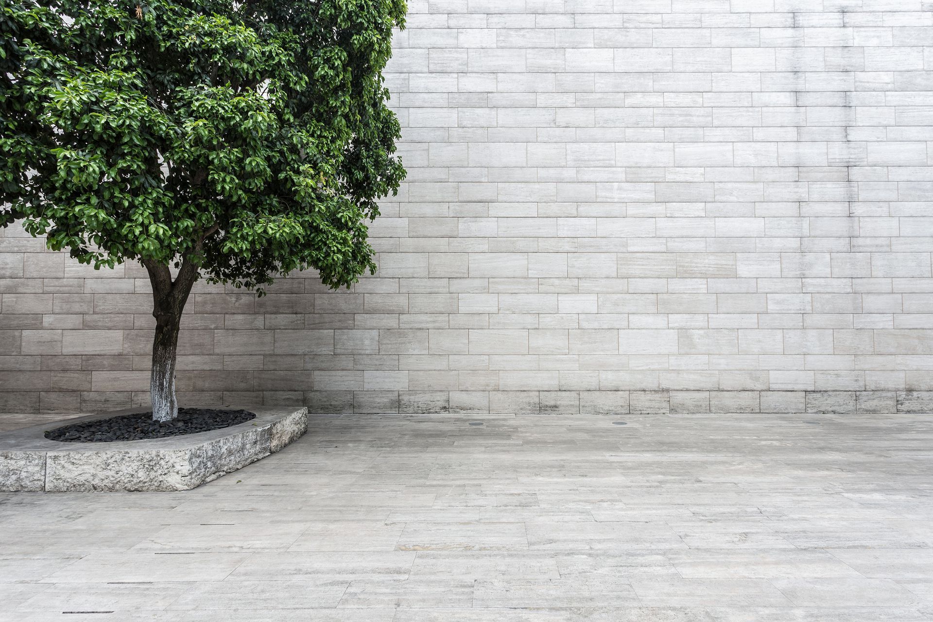 Green tree in a stone planter against a light-colored brick wall and paved ground.
