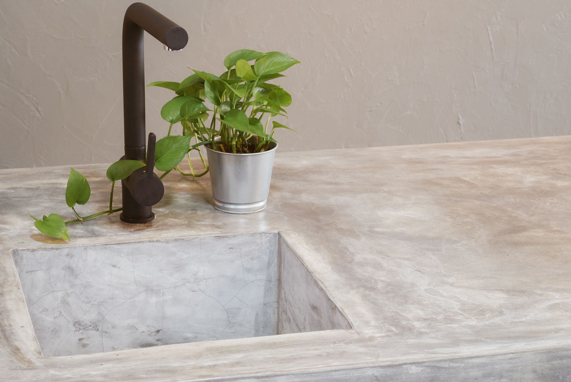 Gray concrete countertop with built-in sink, black faucet, and potted green plant.