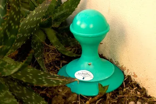  Exterior perimeter ant treatment application at Southlake home