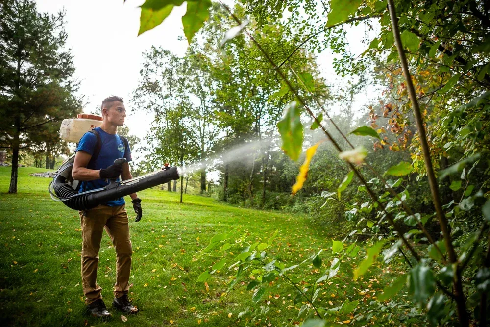 Southlake Pest Control Technician spraying eco-safe mosquito treatment on shrubs in backyard