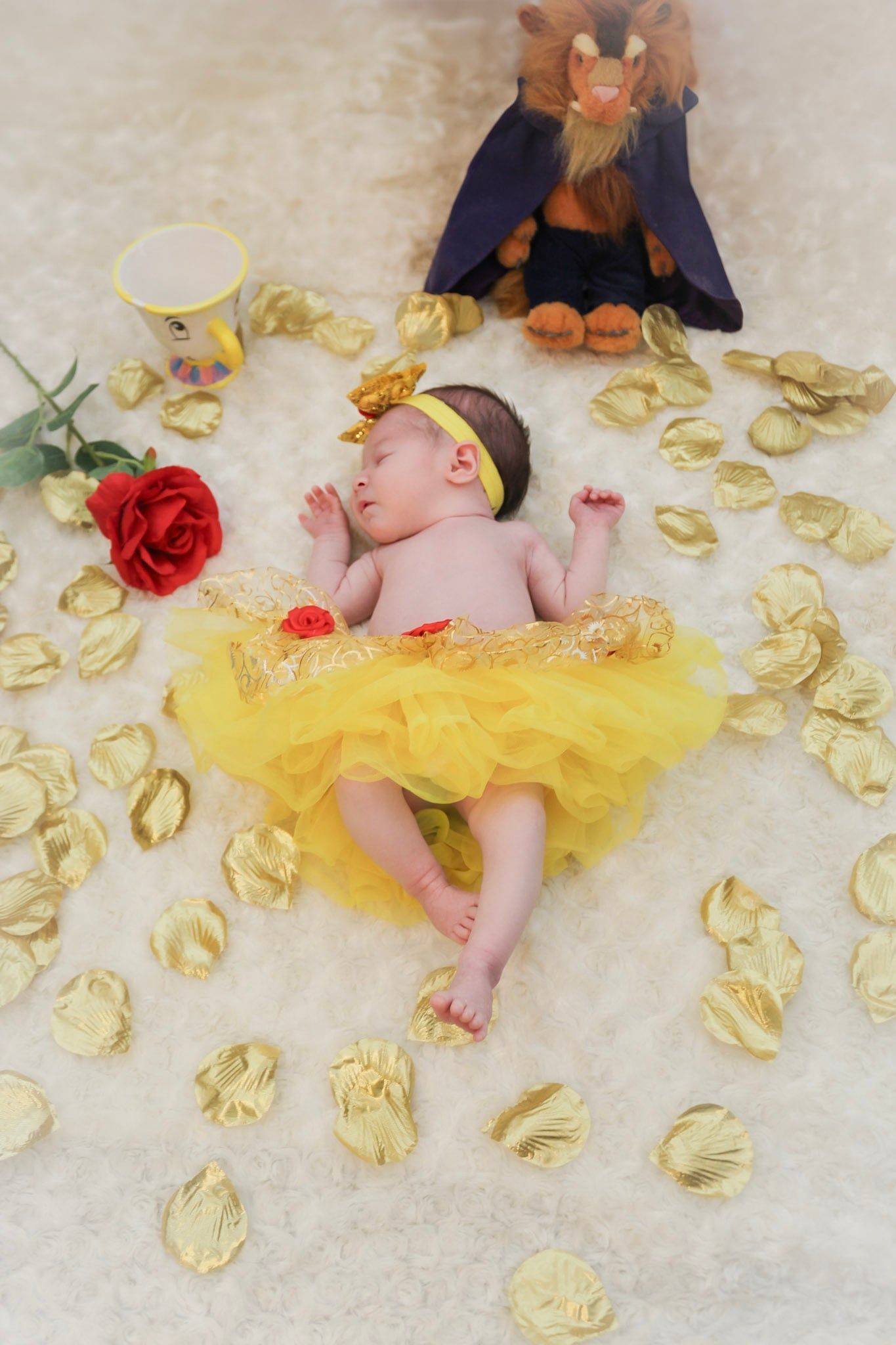Sleeping newborn baby posing for a professional baby portrait photoshoot