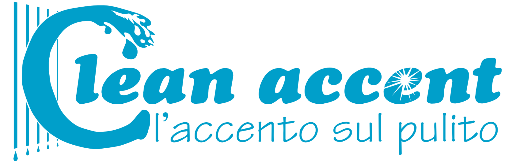 CLEAN ACCENT logo