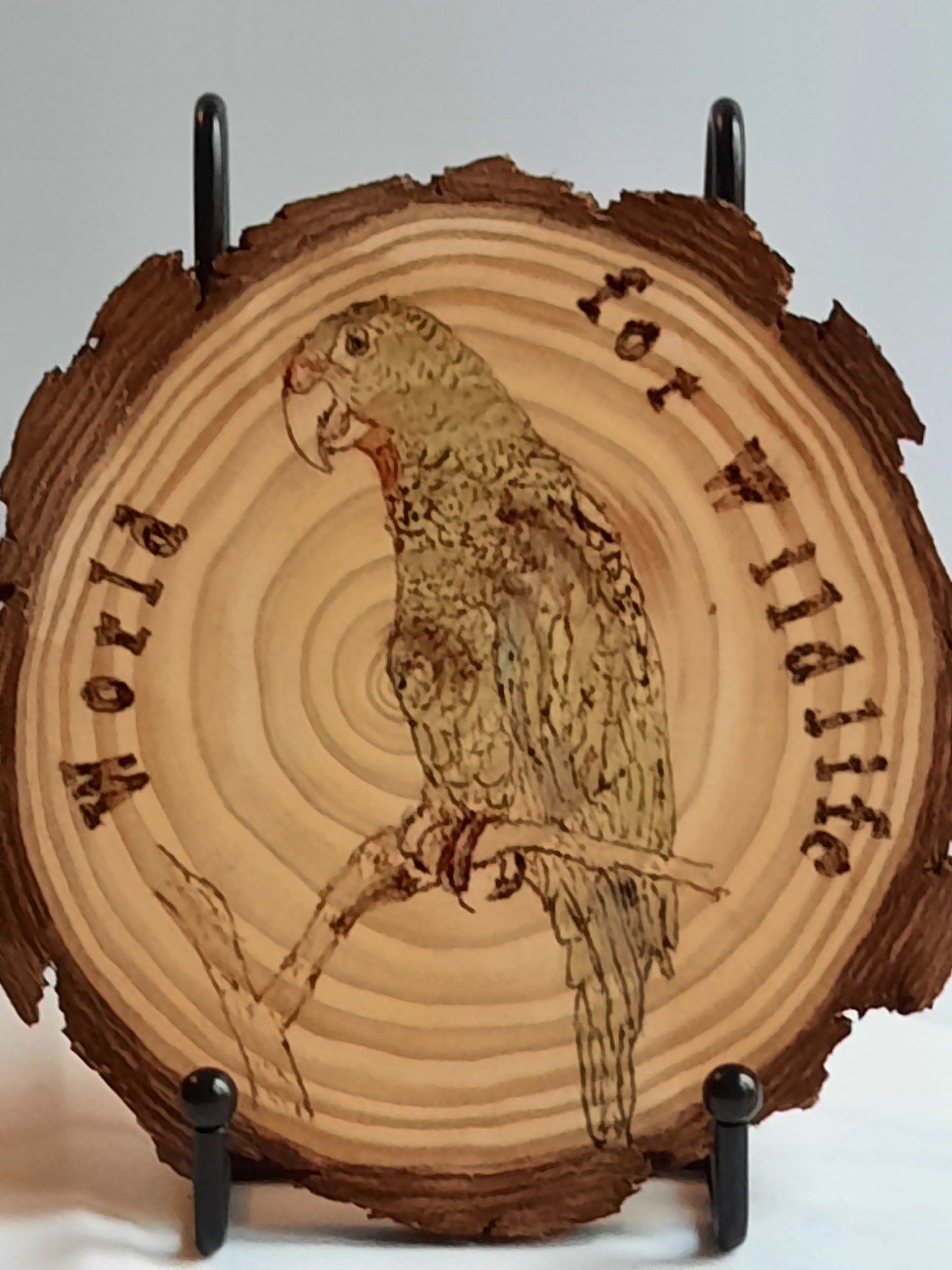 World, wildlife, conservation, bird, parrot, coaster, plaque, gift, wood, pyrography