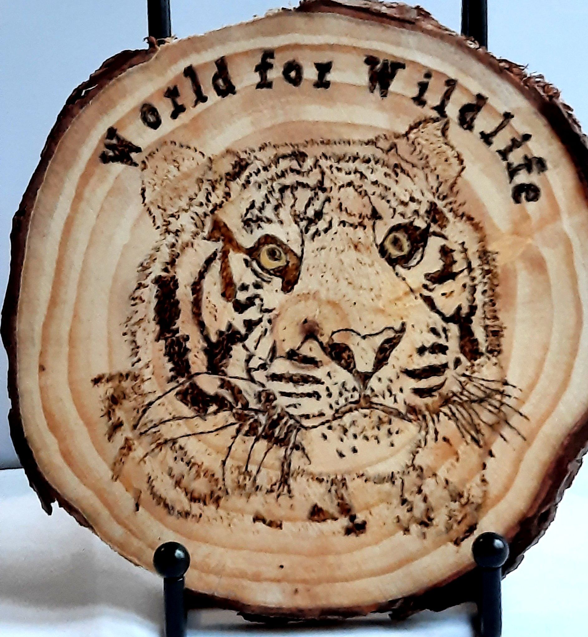 World, wildlife, conservation, animal, tiger, coaster, plaque, gift, wood, pyrography