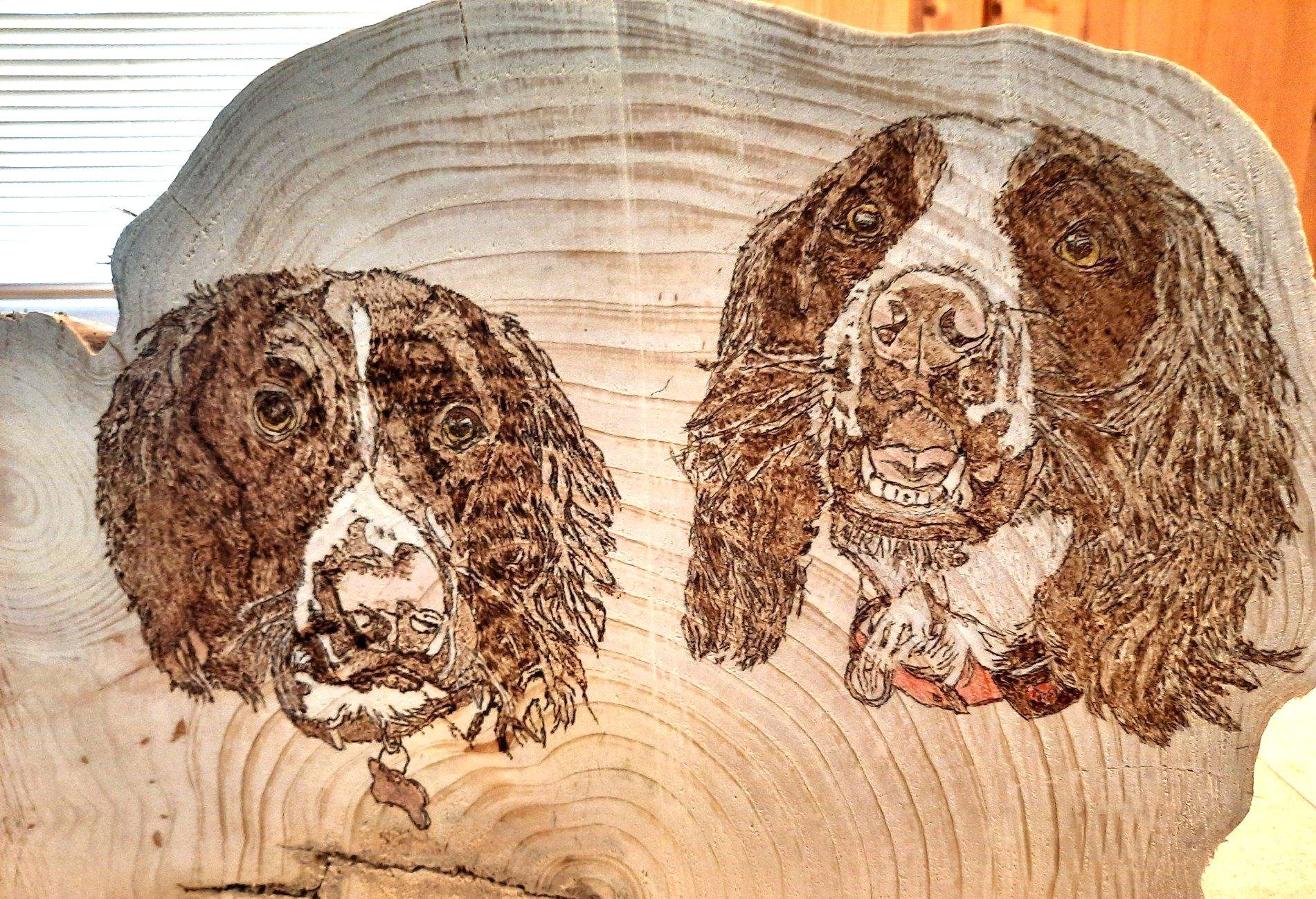 Benji & Dottie spaniels commission by Helen's Woodburning, st Keverne, Cornwall