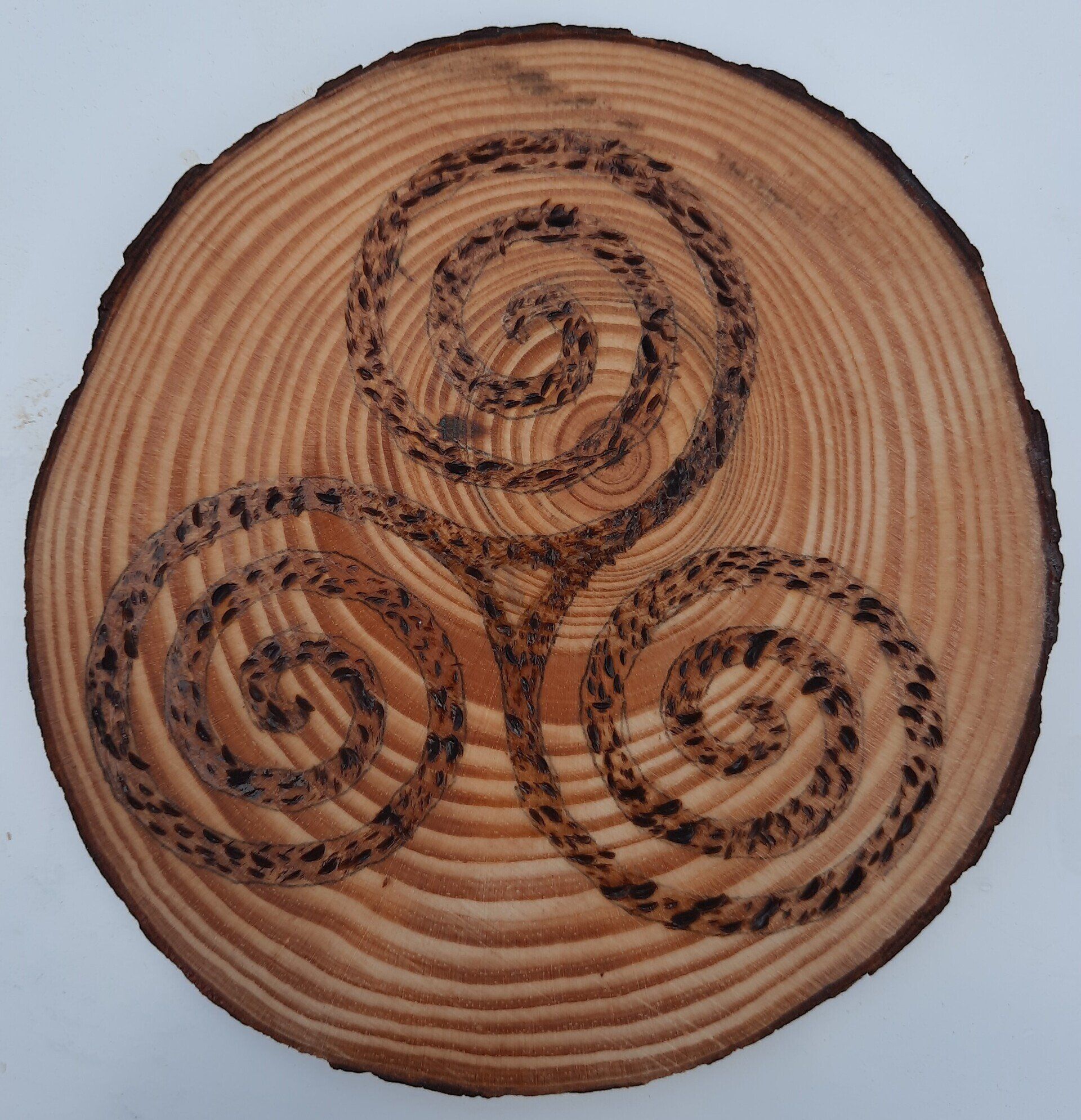 Stipled wooden coaster - helen's pyrography on wooden round