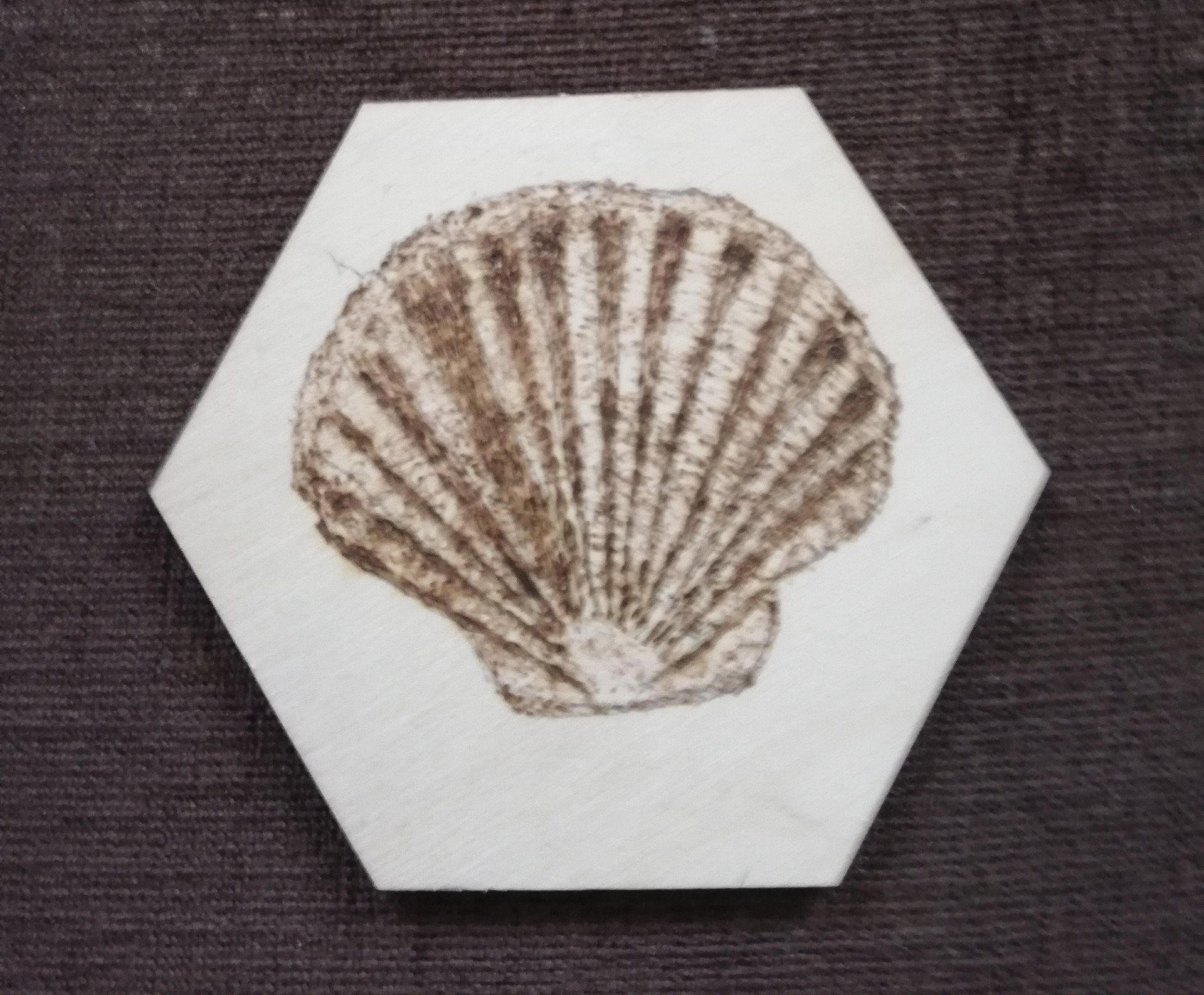 shell, seashell, sea, hexagonal, hexagon, wood, Cornwall, pyrography, gift