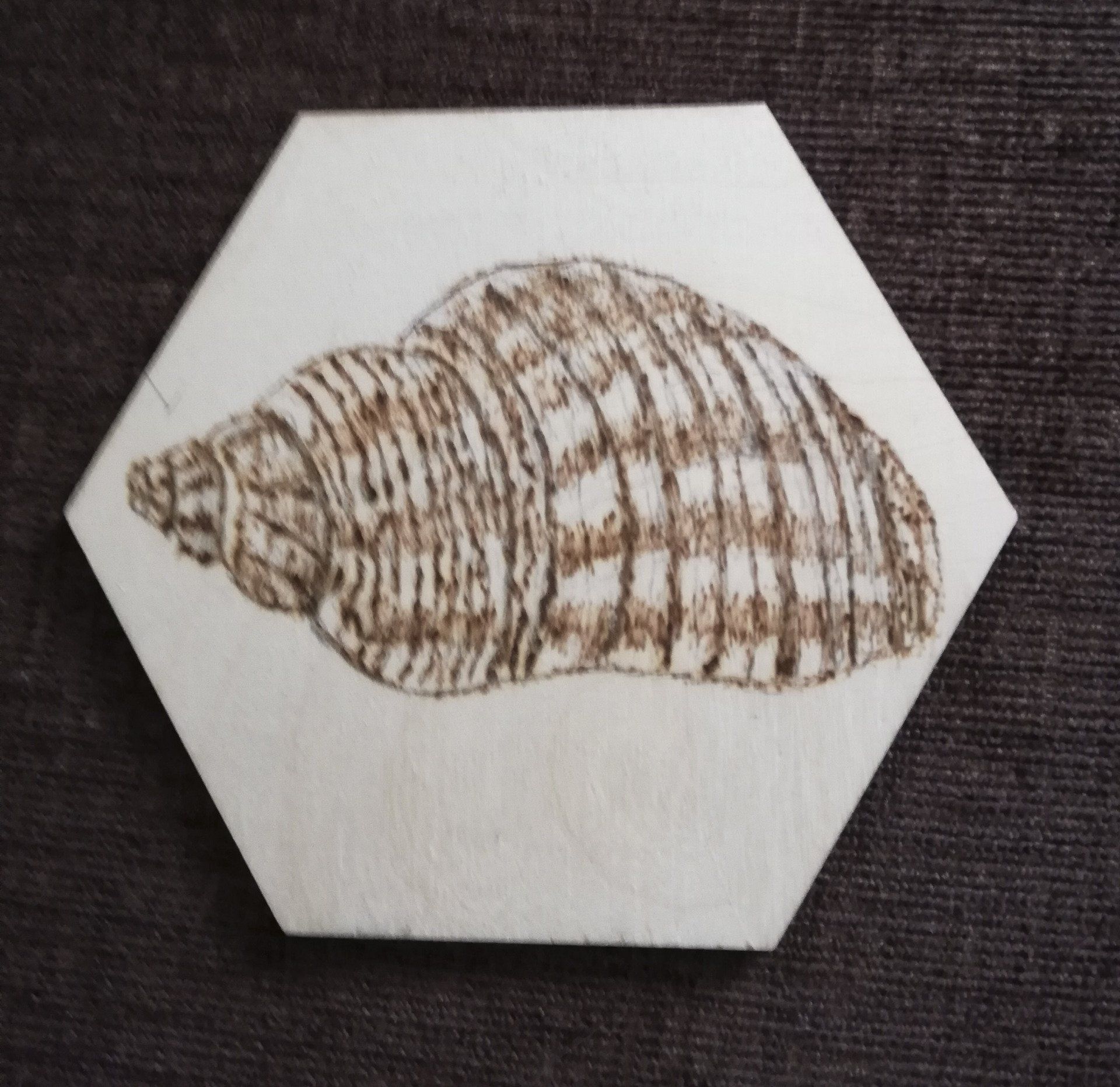 seashell, sea, shell, hexagonal, hexagon, wood, Cornwall, pyrography, gift