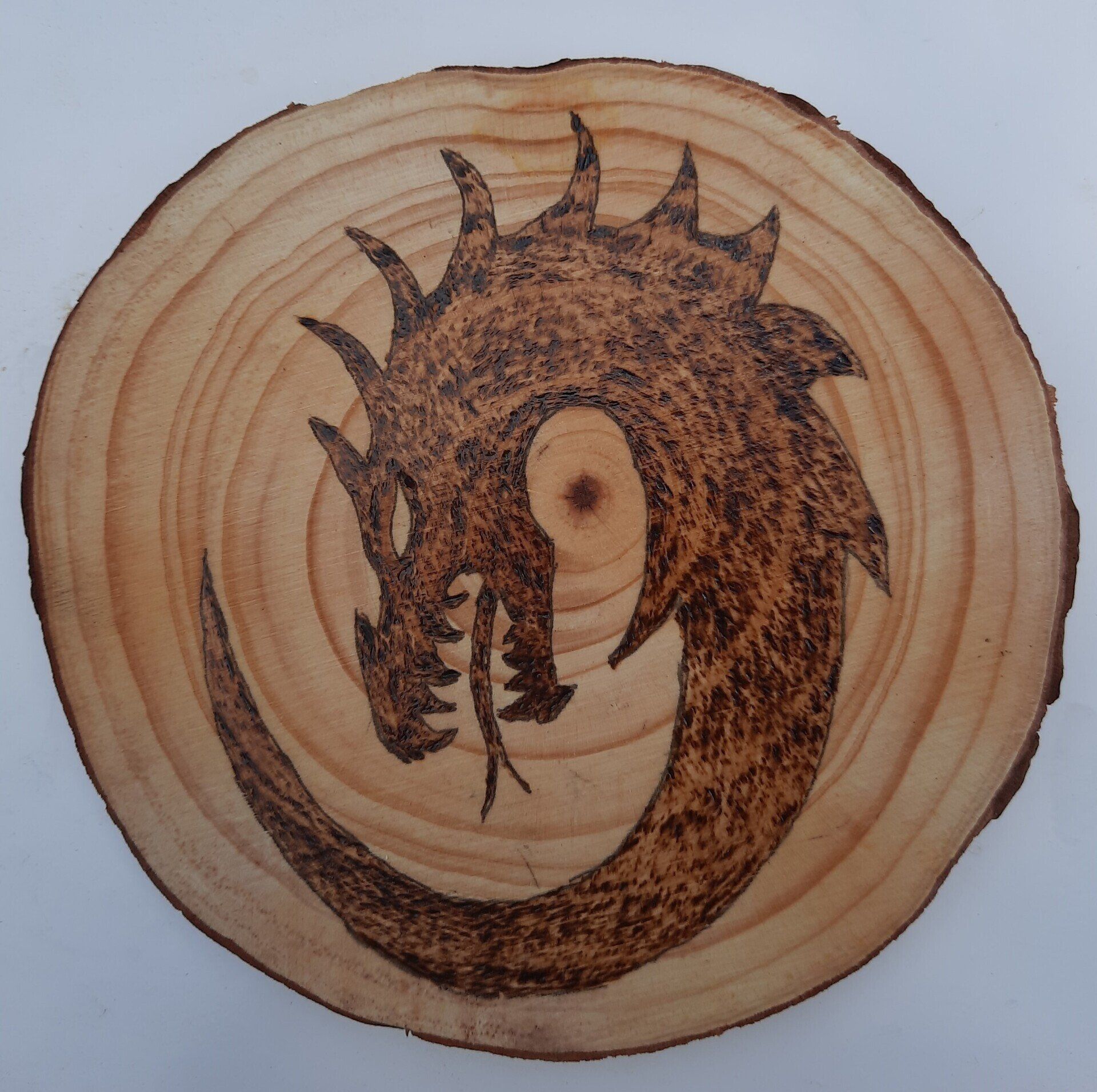 Dragon on wooden round by Helen's Pyrography