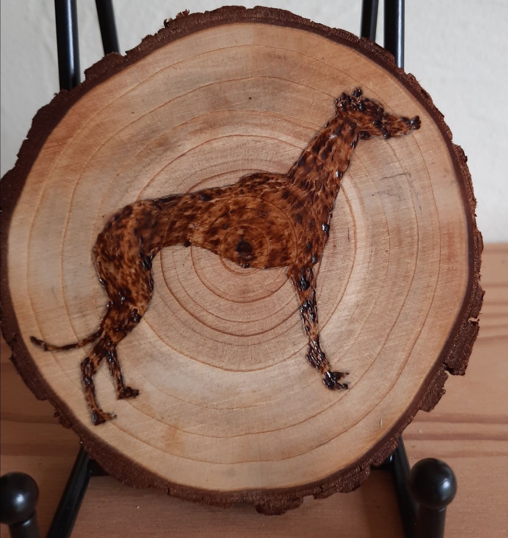 Greyhound dog on wood by Helen's Pyrography