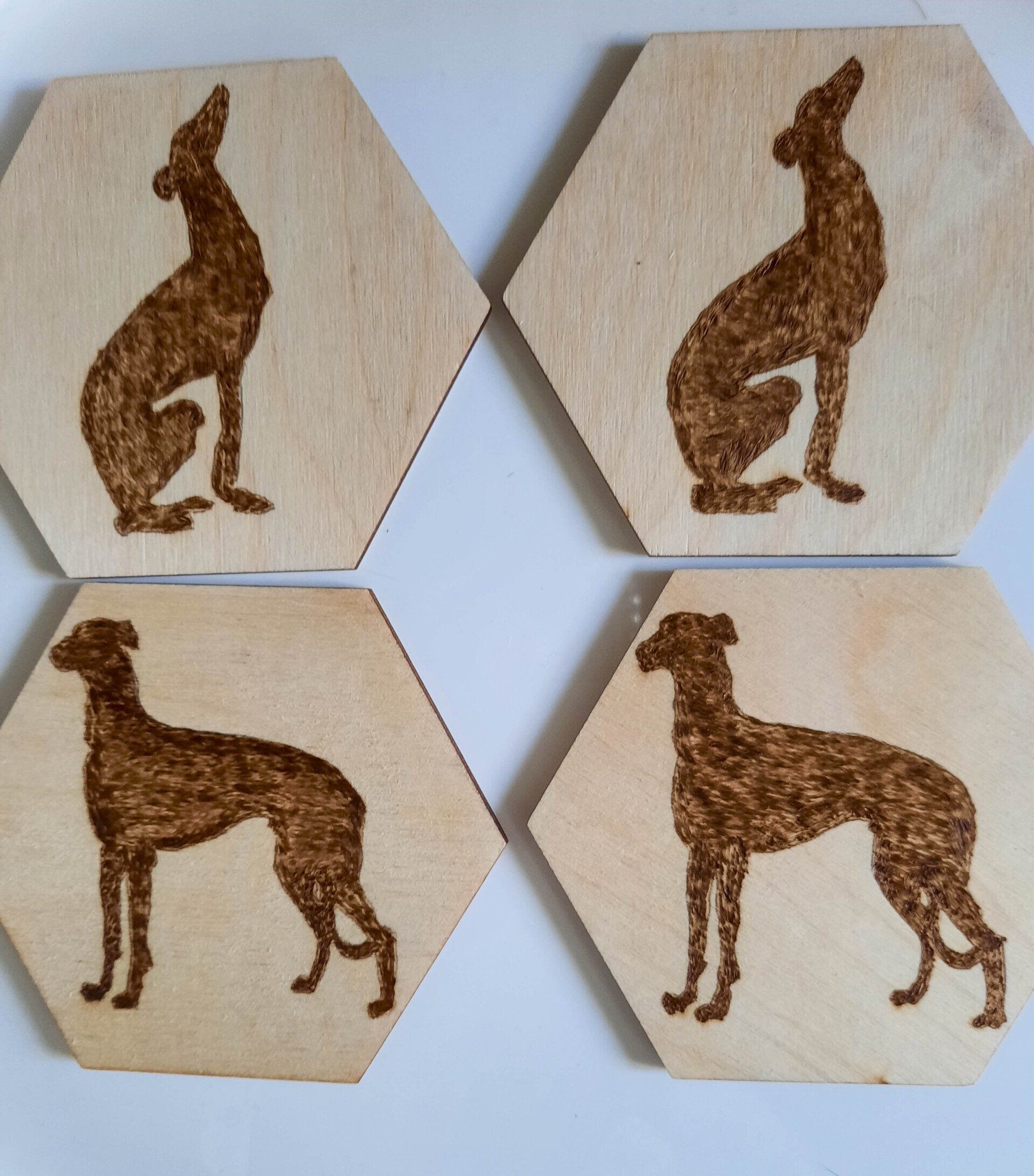 Greyhounds Standing Sitting set of Coasters Helens Pyrography