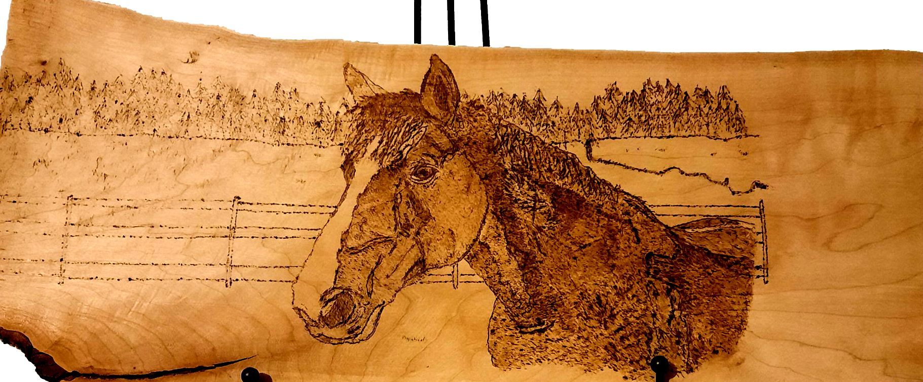 Horse, gate, horse riding, pyrography, wood, ornament