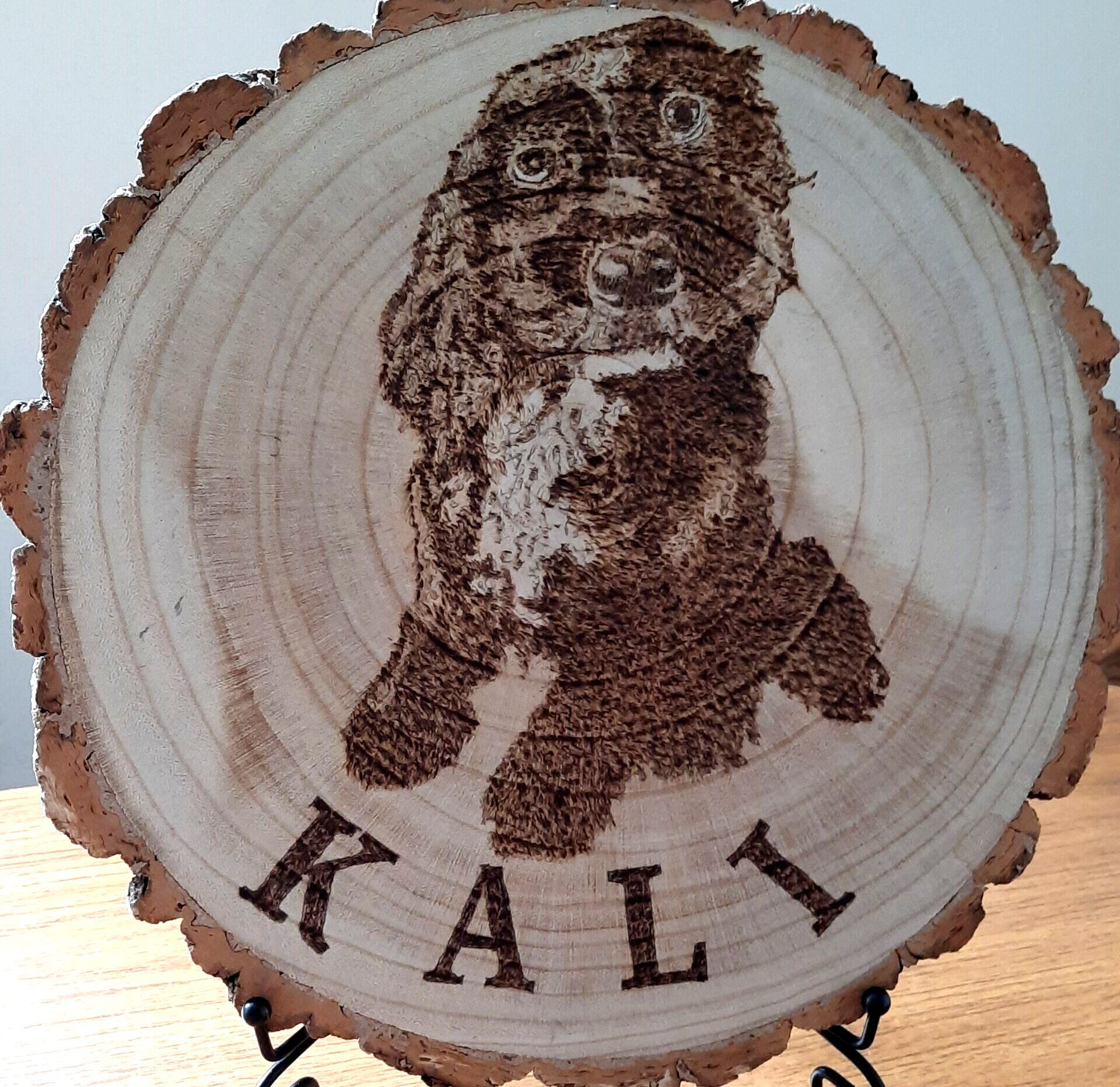 commission of cockapoo dog in woodburning by Helen's Pyrogaphy