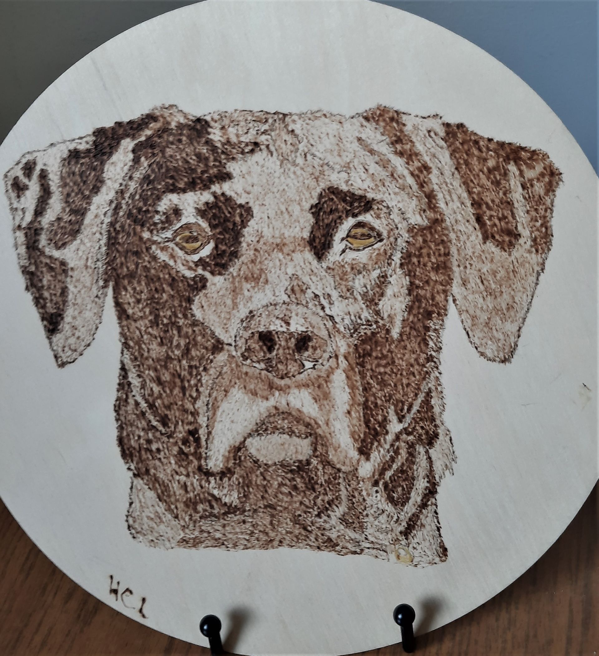 portrait of a labrador on bass wood by Helen's Pyrrography