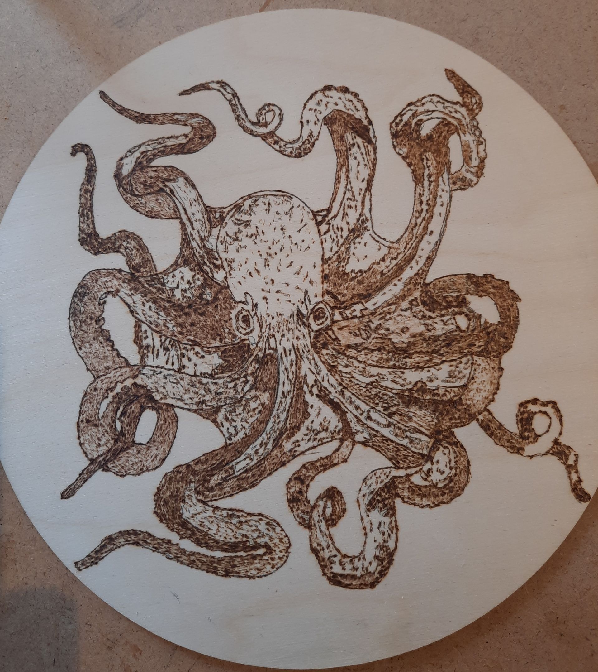 Wood burnt Octopus by Helen's Pyrography Cornwall
