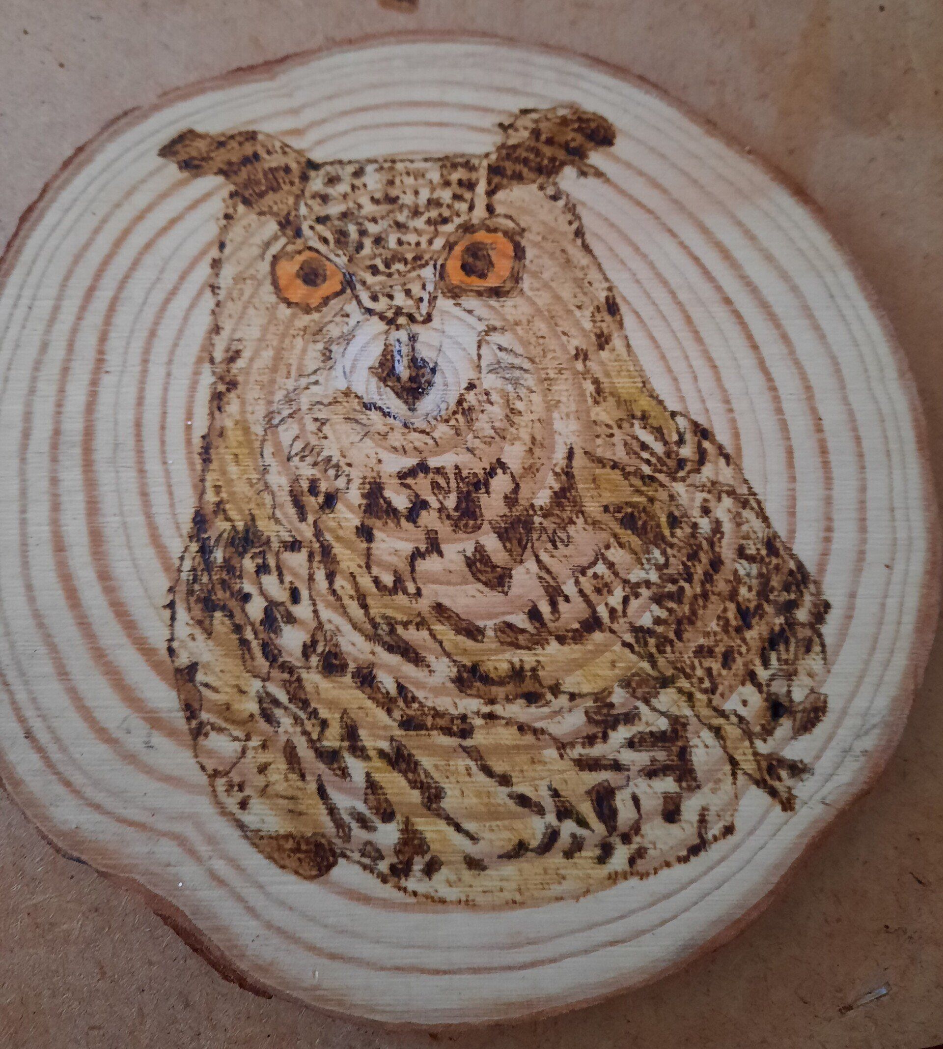 Owl, Helen's Pyrography, coaster
