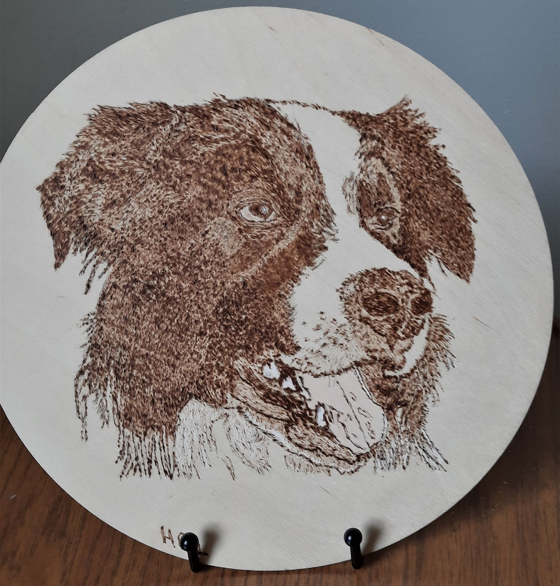 portrait of a sheepdog on bass wood by Helen's Pyrrography