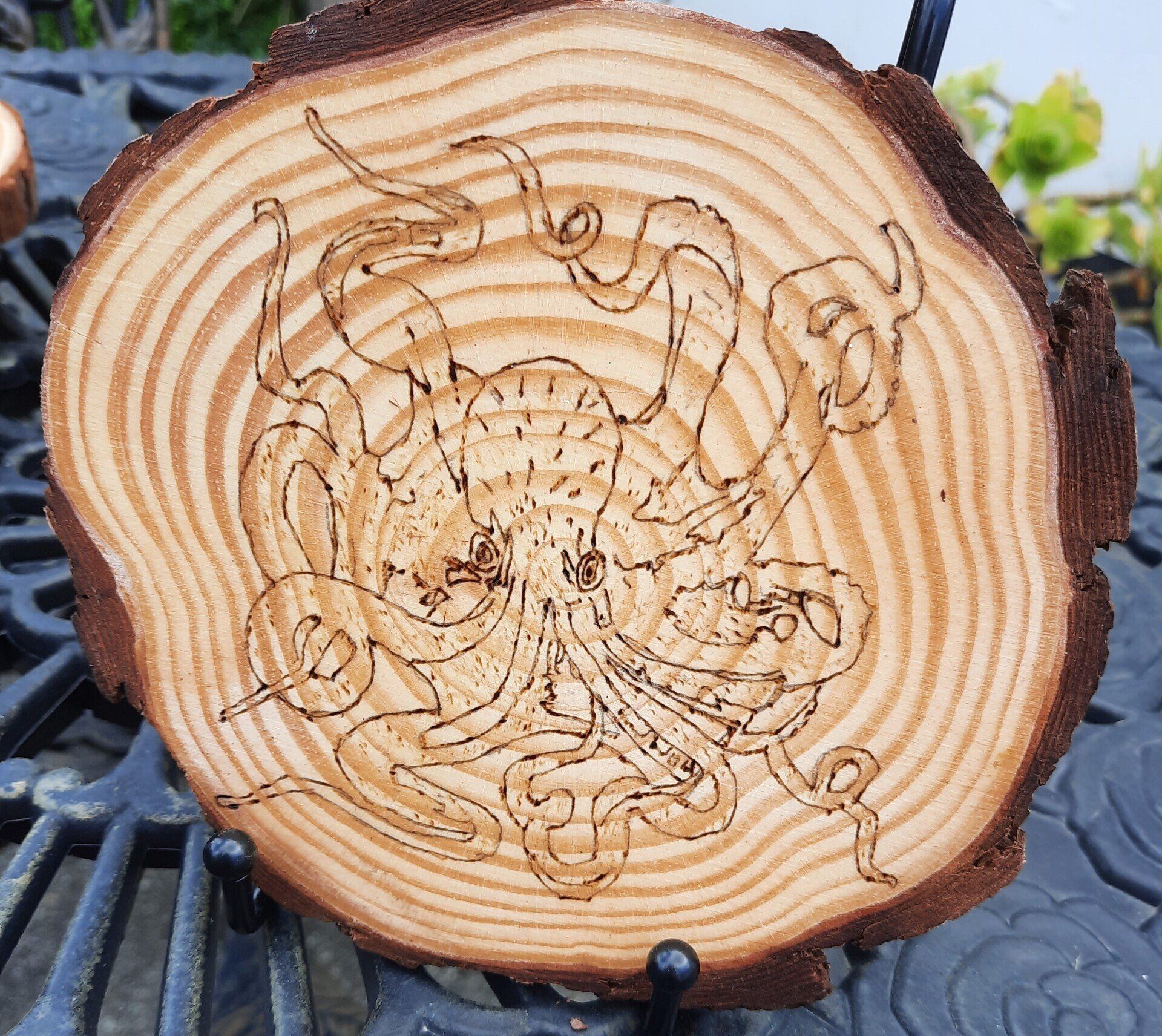 Octopus wood burning coaster by Helen's Pyrography