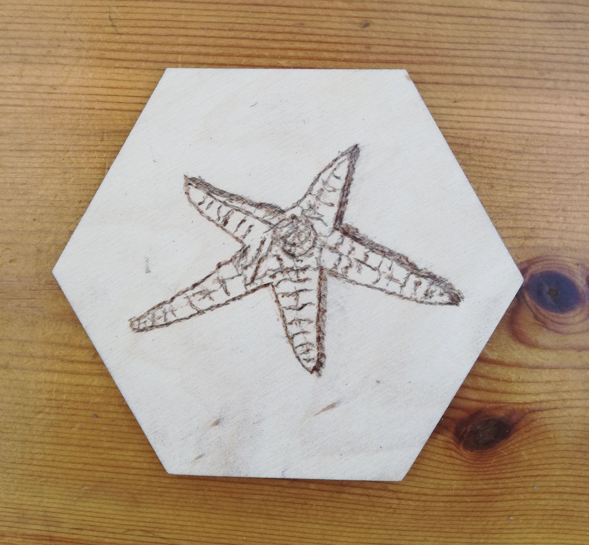 starfish, sea, hexagonal, hexagon, wood, Cornwall, pyrography, gift