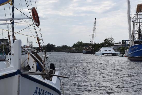 Sponge Docks Tarpon Springs