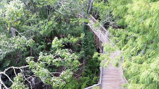 John Chesnut Sr. Park