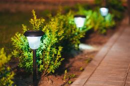 Solar pathway lights illuminate a dark garden bed beside a brick walkway.
