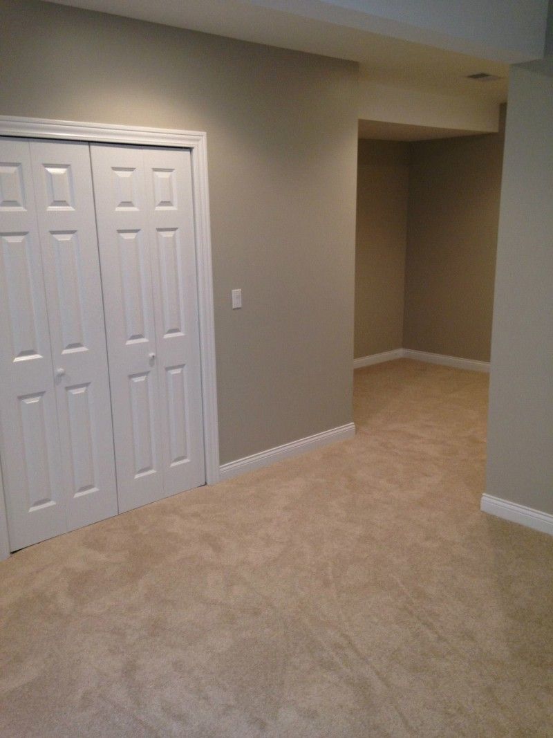 An empty room with a closet and a carpeted floor.