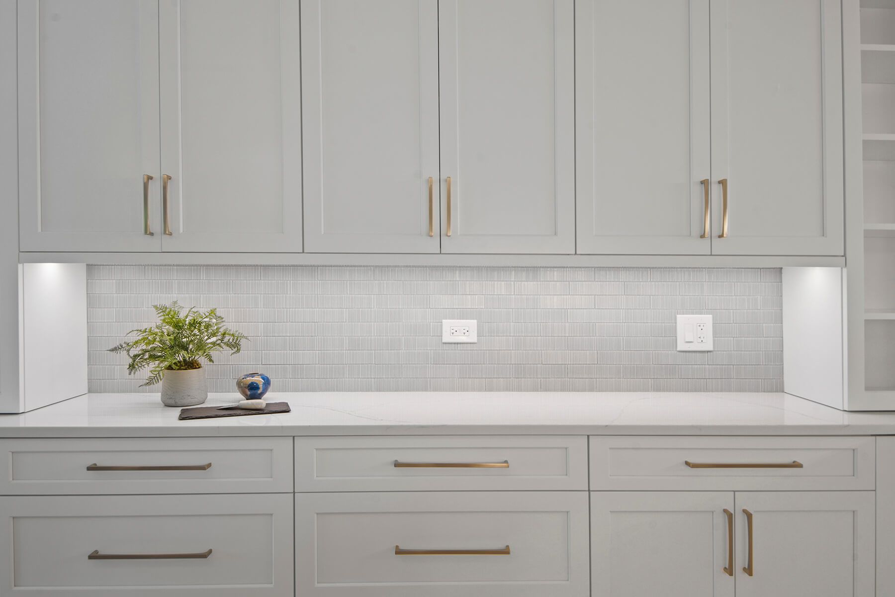 A kitchen with white cabinets and a plant on the counter.